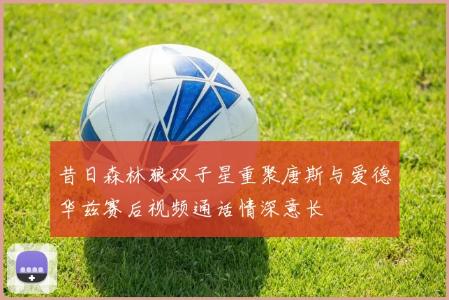 昔日森林狼双子星重聚唐斯与爱德华兹赛后视频通话情深意长